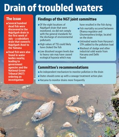 Of the eight locations they analysed in the drain, only two were found to be compliant with the general standards of discharge of environmental pollutants laid down by the CPCB. Of the eight locations they analysed in the drain, only two were found to be compliant with the general standards of discharge of environmental pollutants laid down by the CPCB.