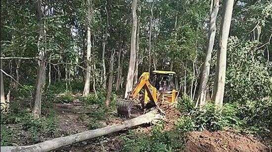 Over 6,000 trees were felled for the proposed Pakhro Tiger Safari project in Corbett Tiger Reserve over an area of 16.21 hectares, according to a report of the Forest Survey of India (FSI). (HT File Photo)