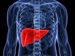 Fatty liver linked to survival in E. coli infection: Study(Twitter/AHealthyBod) Fatty liver linked to survival in E. coli infection: Study(Twitter/AHealthyBod)