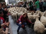 Spain: A woman poses for a photograph next to a flock during the annual sheep parade.
