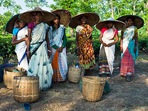 Women are at the forefront of rural tourism initiatives in Assam district