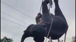 Assam reported the highest number of elephant deaths due to train hits in 2020-21 in the country with 62 of the total 186 cases. (Sourced) Assam reported the highest number of elephant deaths due to train hits in 2020-21 in the country with 62 of the total 186 cases. (Sourced)
