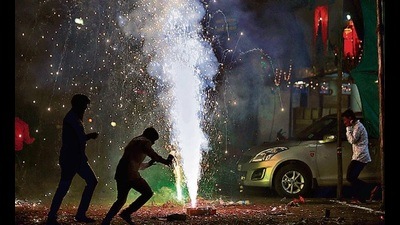 Loud noises trigger anxiety among animals (PIC FOR REPRESENTATION)