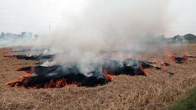 Last month, the state governments of Delhi and Punjab had proposed to give  ₹2,500 as per acre incentive to paddy growers for not burning crop residue. (ANI)
