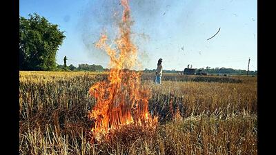 The Centre, National Green Tribunal and Commission for Air Quality Monitoring are pushing the Punjab government to take penal action against the defaulters. (ANI)