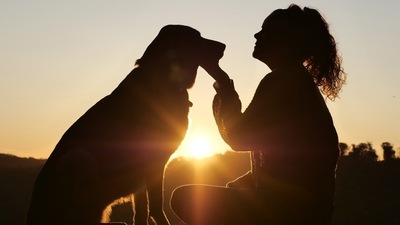 How to check your pet's pulse: Expert offers tips (pixabay) How to check your pet's pulse: Expert offers tips (pixabay)