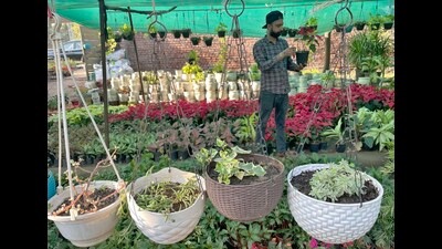 Anticipating the demand ahead of Diwali, nursery owners in the city had pre-ordered flowers, succulents and indoor plants from Pune and Nainital. (Gurpreet Singh/HT) Anticipating the demand ahead of Diwali, nursery owners in the city had pre-ordered flowers, succulents and indoor plants from Pune and Nainital. (Gurpreet Singh/HT)