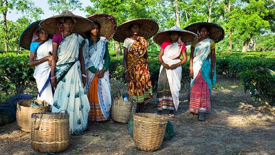 Women are at the forefront of rural tourism initiatives in Assam district (istockphoto) Women are at the forefront of rural tourism initiatives in Assam district (istockphoto)