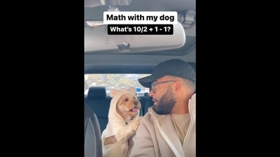 The man poses a math question to her dog named Luna. Can you solve it using BODMAS before she does? (Instagram/@lunatheminicockapoo)
