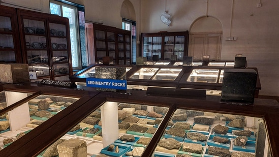 A collection of sedimentary rocks put on display at College of Engineering Pune Technological University's (COEPTU) newly set-up Geology Museum, in Pune. (PTI)