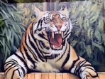 Taken from the viral Twitter video, the image shows the 'tiger'.