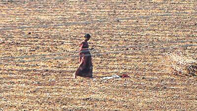 Many farmers said the government acquired land in 1996 for the Tata Steel project that was aborted after a few years. (HT File Photo/Representative) Many farmers said the government acquired land in 1996 for the Tata Steel project that was aborted after a few years. (HT File Photo/Representative)