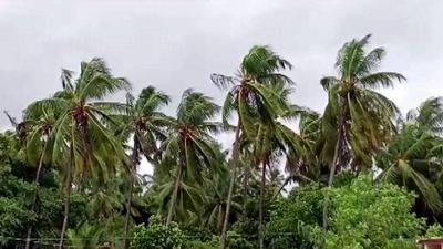 The weather could not dampen the spirits of devotees who turned up in droves early in the day at the Kali temples of Kalighat, Dakshineswar and Thanthania in Kolkata. (Representative Image (ANI)) The weather could not dampen the spirits of devotees who turned up in droves early in the day at the Kali temples of Kalighat, Dakshineswar and Thanthania in Kolkata. (Representative Image (ANI))