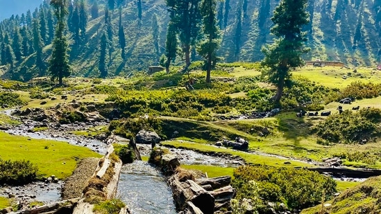 Kashmir's Dubjan on travelers' 'must-see' list: hot spring baths that treat joint pain and dry skin (Twitter/wakashmir)