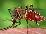The dengue infection tally had stood at 1,572 till October 12. The dengue infection tally had stood at 1,572 till October 12.