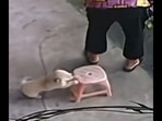 This puppy can be seen pushing the stool for its grandma. (Twitter/@buitingebieden) This puppy can be seen pushing the stool for its grandma. (Twitter/@buitingebieden)