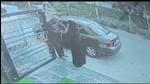 The incident took place at about 3.30pm in front a hotel in Sector 39 on Sunday where the victim Faris Muslim Abbasand his wife, Nada Ali Salman (54), were staying. (HT Photo) The incident took place at about 3.30pm in front a hotel in Sector 39 on Sunday where the victim Faris Muslim Abbasand his wife, Nada Ali Salman (54), were staying. (HT Photo)