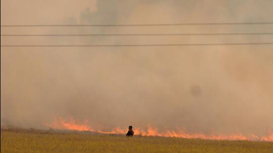 Experts say the emission from firecrackers and an increase in the share of smoke from stubble burning cases reported during the Diwali holidays could be a key factor for the air quality worsening in Haryana cities. (HT file photo)