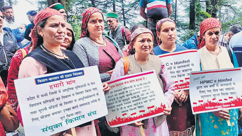 A large number of apple growers protest over rising input costs and other issues, in Shimla on August 5. (ANI) A large number of apple growers protest over rising input costs and other issues, in Shimla on August 5. (ANI)
