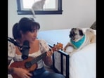 The woman sings Bruno Mars' Just the Way You Are to her cute dog. The woman sings Bruno Mars' Just the Way You Are to her cute dog.