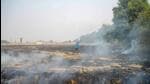 A farmer burns paddy stubble on the outskirts of Jalandhar in Punjab. (PTI) A farmer burns paddy stubble on the outskirts of Jalandhar in Punjab. (PTI)