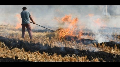 The Bulandshahr district administration has slapped a fine of  ₹12,500 on four farmers. (PIC FOR REPRESENTATION)