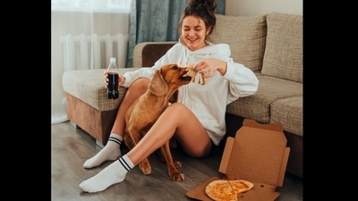 Serving homemade foods to pets? Here are 7 safe, nutritious human foods for dogs (Ivan Babydov) Serving homemade foods to pets? Here are 7 safe, nutritious human foods for dogs (Ivan Babydov)