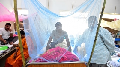 More than 900 cases of dengue have been reported in the capital in October. (Representational Image) (AFP)