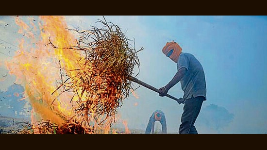 The state farmers have 700 bailer machines which the officials of state department accepted are too less. (PTI file photo)