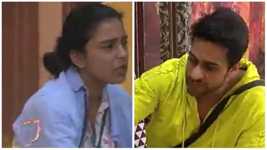 Sumbul Touqeer and Shalin Bhanot fight on Bigg Boss 16.