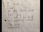Fourth grader's poems
