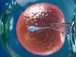According to the Call to Action, a report by Ernst & Young, the fertility industry in the country has grown by 20% in recent years.(Twitter/Mz_enaj) According to the Call to Action, a report by Ernst & Young, the fertility industry in the country has grown by 20% in recent years.(Twitter/Mz_enaj)