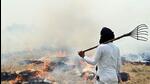 With the paddy harvest going on in full swing in Punjab, the number of farm fires has started increasing and is likely to peak by the next week. (AFP File Photo) With the paddy harvest going on in full swing in Punjab, the number of farm fires has started increasing and is likely to peak by the next week. (AFP File Photo)