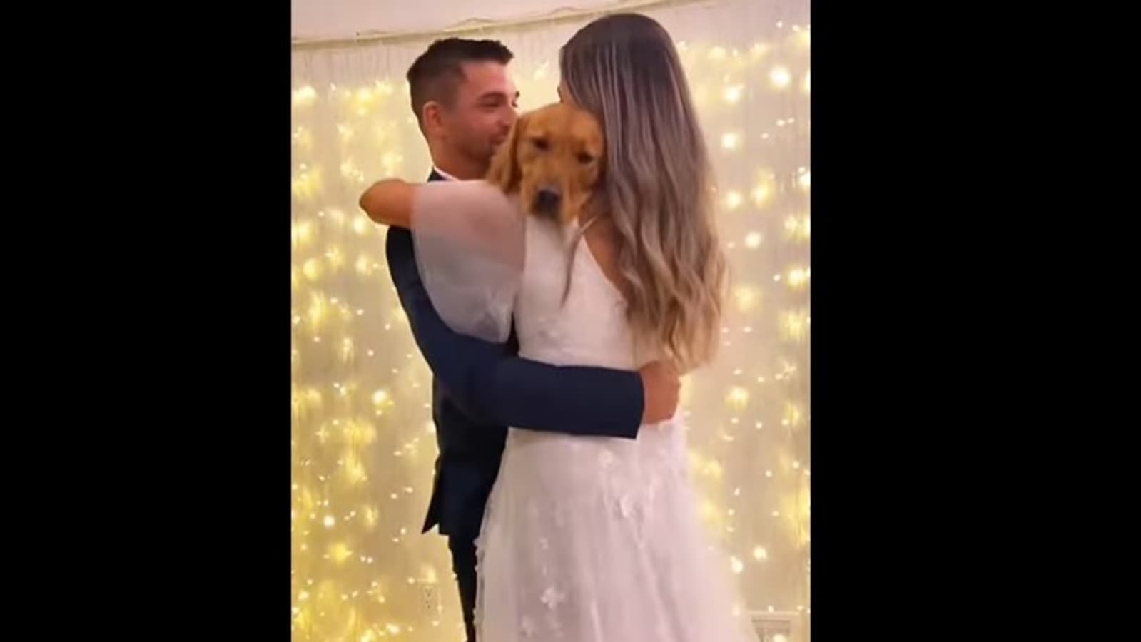 Bride and groom dances with their dog at wedding ceremony. Watch viral video | Trending