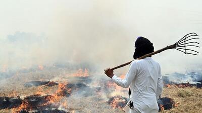 With the paddy harvest going on in full swing in Punjab, the number of farm fires has started increasing and is likely to peak by the next week. (AFP File Photo) With the paddy harvest going on in full swing in Punjab, the number of farm fires has started increasing and is likely to peak by the next week. (AFP File Photo)