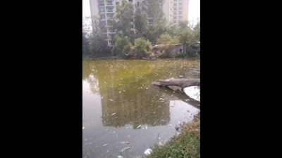 A view of the Butler Palace lake in Lucknow (HT File Photo)