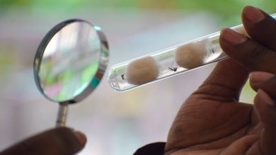 Cancer drugs could potentially be used to fight Malaria: Research (istockphoto) Cancer drugs could potentially be used to fight Malaria: Research (istockphoto)