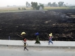 Commuters make their way past the burnt fields on the outskirts of Jalandhar on Friday. (ANI) Commuters make their way past the burnt fields on the outskirts of Jalandhar on Friday. (ANI)