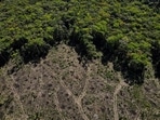 An aerial view shows a deforested plot of the Amazon rainforest in Manaus, Amazonas State, Brazil July 8. (Reuters)