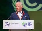 FILE PHOTO: Britain's Charles, Prince of Wales speaks during the UN Climate Change Conference (COP26) in Glasgow, Scotland, Britain, November 2, 2021. 