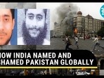 HOW INDIA NAMED AND SHAMED PAKISTAN GLOBALLY