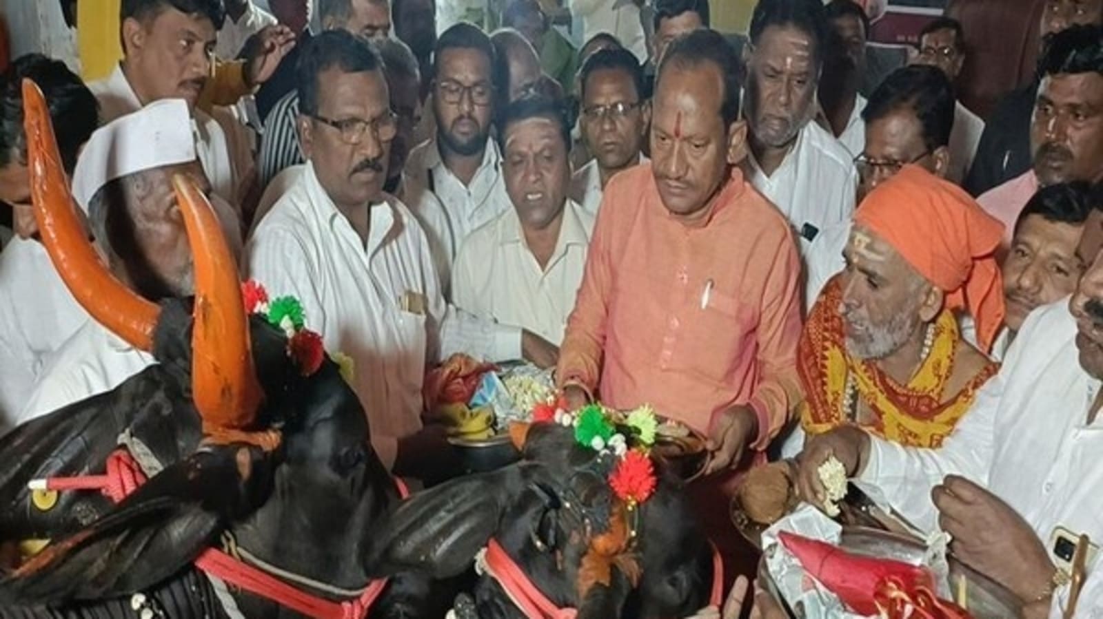 Karnataka Cows worshipped in all veterinary institutions on