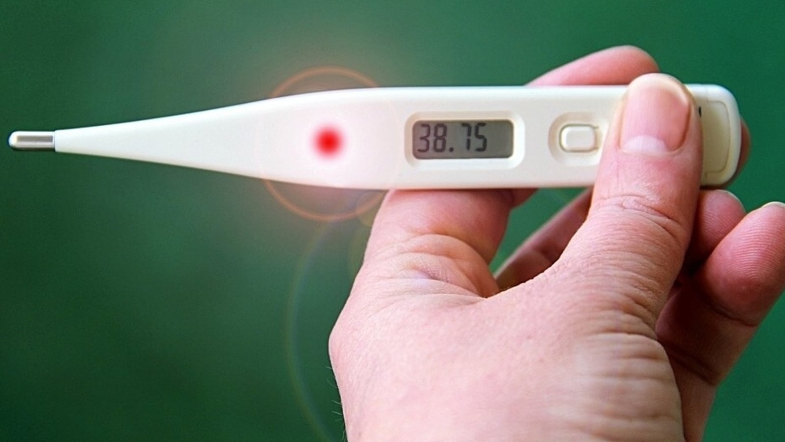 Baby With Low Grade Fever For Several Days