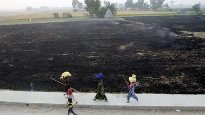 Commuters make their way past the burnt fields on the outskirts of Jalandhar on Friday. (ANI) Commuters make their way past the burnt fields on the outskirts of Jalandhar on Friday. (ANI)