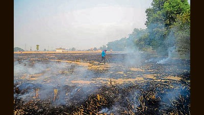 Raging farm fires leave 9 Haryana cities with ‘very poor’ AQI (PTI)