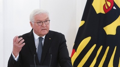 German President Frank-Walter Steinmeier. (REUTERS)