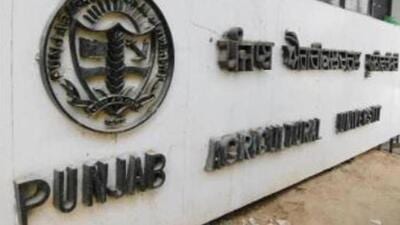 PAU, Ludhiana, students sensitised farmers about crop residue management (CRM) by means of poem recitation, slogans, posters and lectures. (HT FILE)