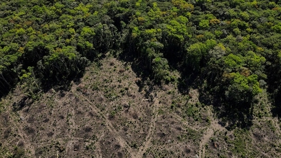 An aerial view shows a deforested plot of the Amazon rainforest in Manaus, Amazonas State, Brazil July 8. (Reuters)