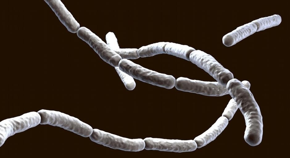 Antimicrobial resistance is already an issue of global concern (Kateryna_Kon/imago images) Antimicrobial resistance is already an issue of global concern (Kateryna_Kon/imago images)