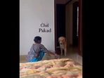 House help playing with the dog.